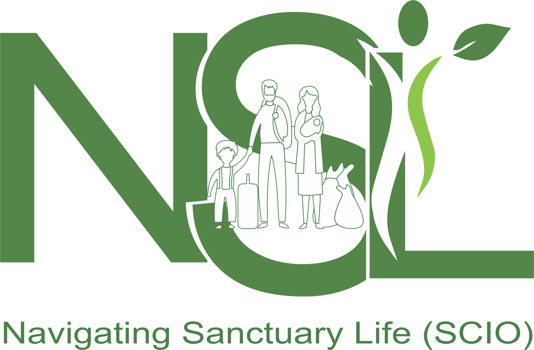 nsl logo